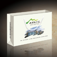 订制手提袋（1000个起）- 40*28*9CM