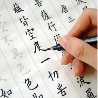 S21 宝克 书法笔（中楷）