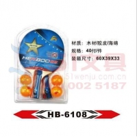HB6108 恒博 乒乓球拍套装-