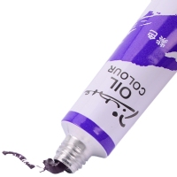 晨光LPL97613，12色油画颜料