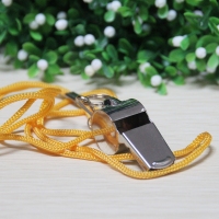 大号不锈钢口哨（两支卡装），裁判口哨 带绳口哨 裁判专用铜口哨