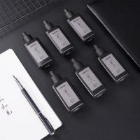 得力74295，50ml学生墨汁，deli墨汁50ml,便携式墨汁普及款