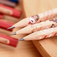 得力33330，椴木印花六角铅笔 HB铅笔 小学生文具儿童写字铅笔 48支/桶