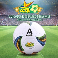 安格耐特F1220，4号足球（1/24）青少年足球室内外训练比赛足球 