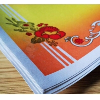 朝阳A4奖状 200张/包（1/40）精品奖状 红花奖状 180奖状