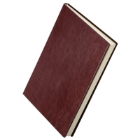 得力3306，A4，160张商务皮面本（1/12/24）160张320页特厚皮面本 得力皮本