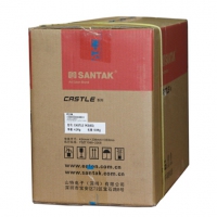 山特（SANTAK） 山特UPS 不间断电源C1KS 1KVA/800W 长延时主机