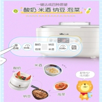 小熊（Bear）酸奶机家用全自动大容量分杯米酒机纳豆泡菜机SNJ-C10P2