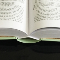 水浒传 四大名著 部编教材九年级（上）推荐必读篇目（足本典藏精装 新课标推荐 无障碍阅读 疑难字注音 解词释义） 