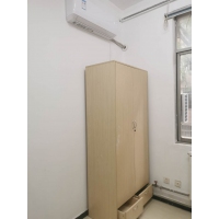 惠强 二门定制衣柜 尺寸2100*800*500 内部结构可调整