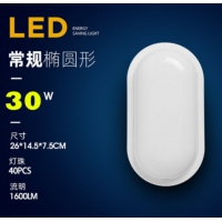 金斯利 椭圆形壁灯 30W